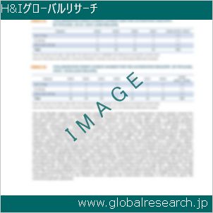 グローバルリサーチ調査レポートのイメージ
